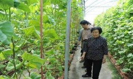 平遥吃瓜最新事件爆料是真的吗,最新爆料真相揭秘